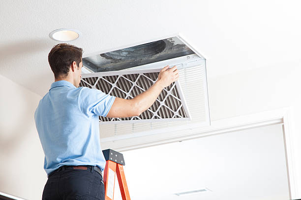 Best Air Filters and Purifiers in Cleveland, GA